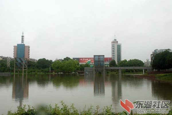 雨后仙桃-01.jpg