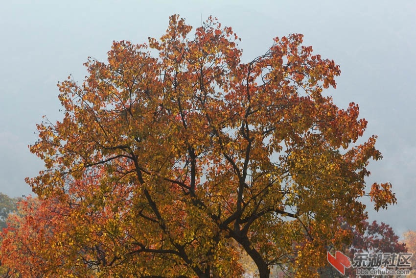 IMG_0017.jpg