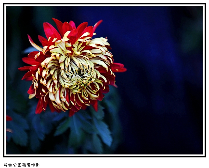 IMG_2848_conew2.jpg