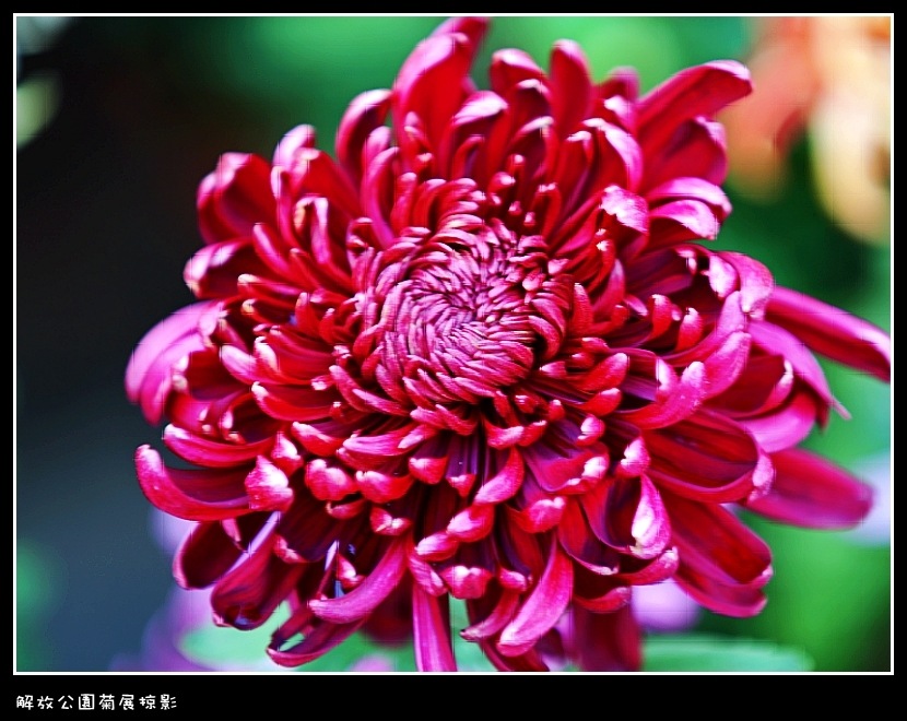 IMG_2853_conew2.jpg