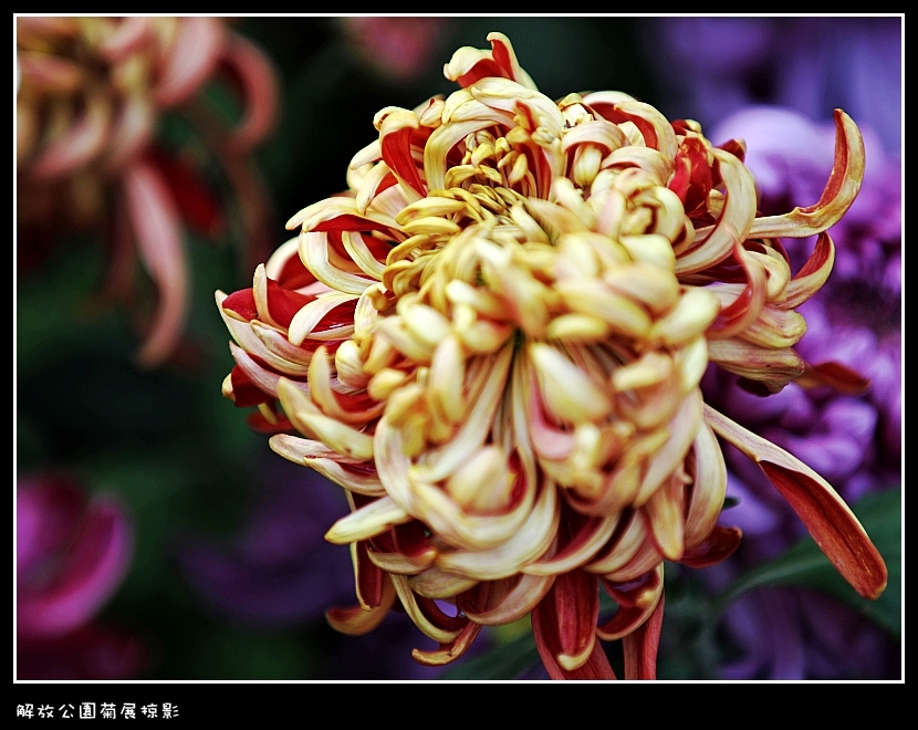 IMG_2856_conew2.jpg