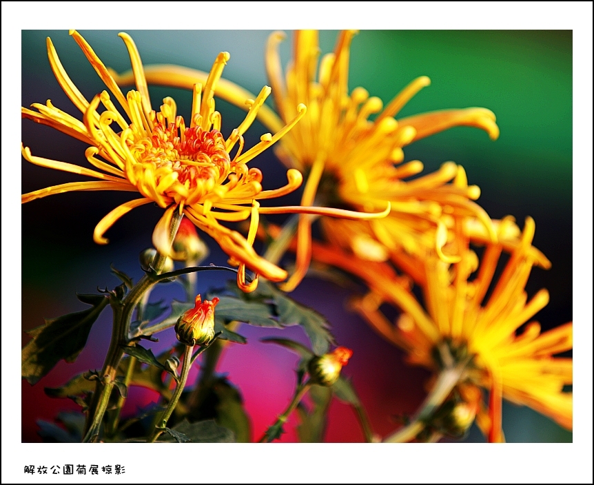 IMG_2861_conew2.jpg