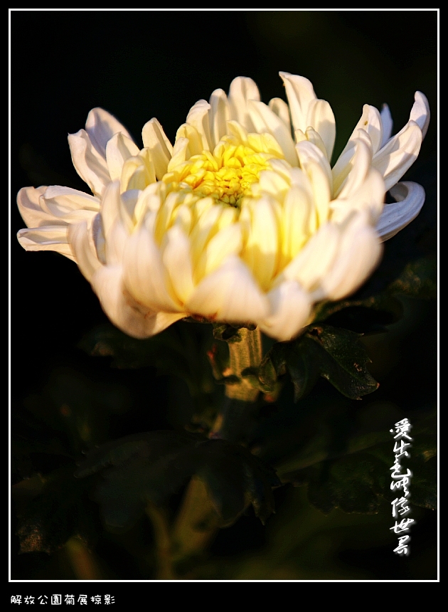 IMG_2869_conew3.jpg