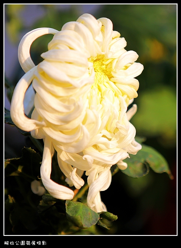 IMG_2873_conew2.jpg