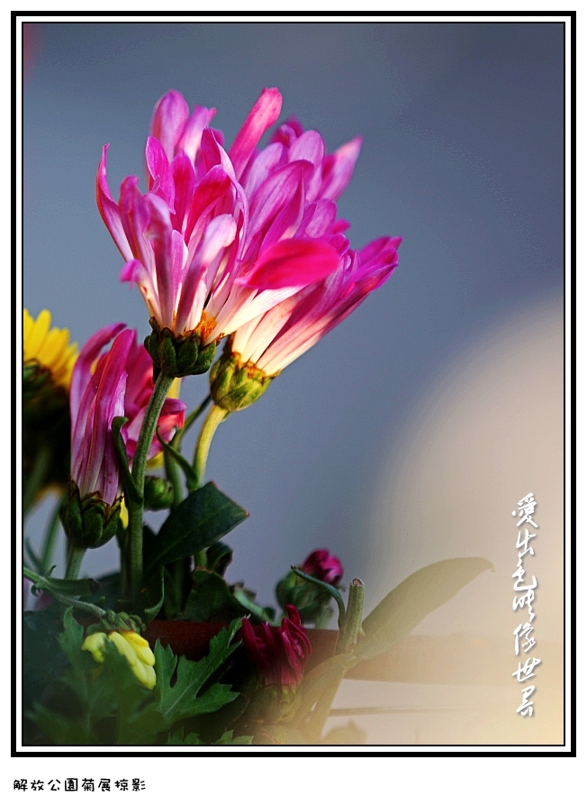 IMG_2880_conew2.jpg