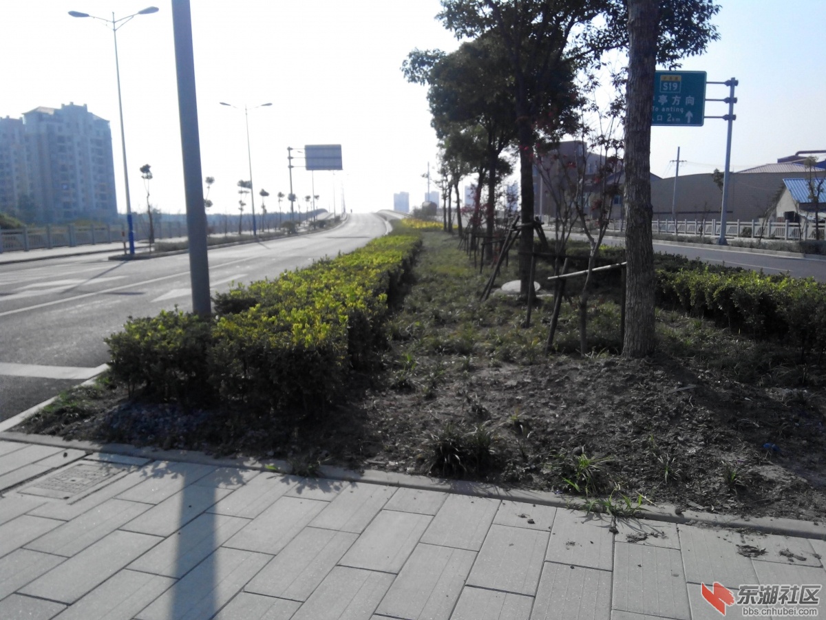 IMG_20131108_133939.jpg