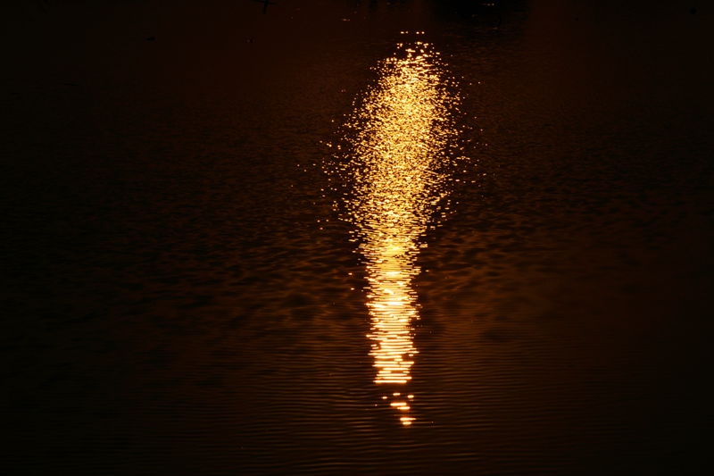 DSC_2193_副本_副本.jpg
