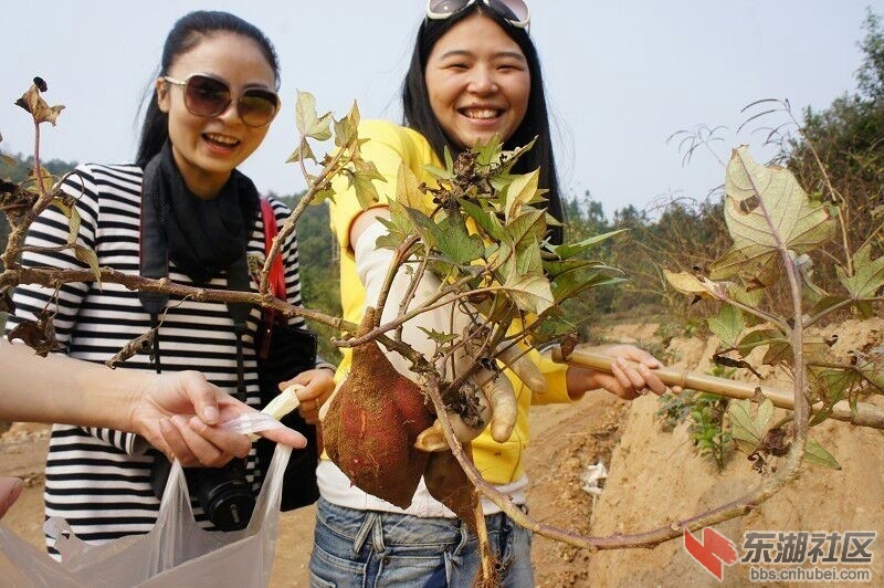 QQ图片20131109161520.jpg