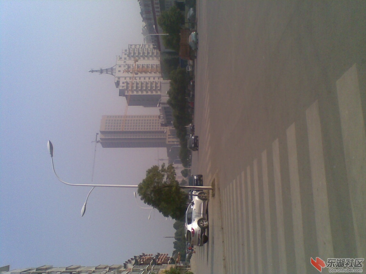 20131107.jpg