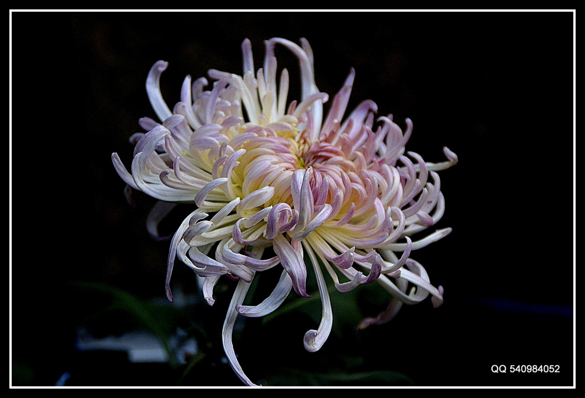 DSC_0012.JPG