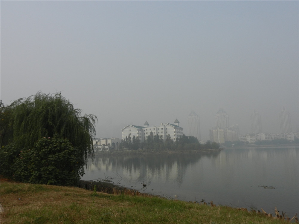 DSCN3988_副本.jpg