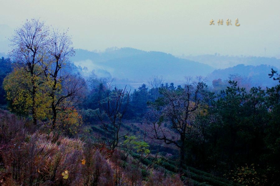 IMG_3697_meitu_1.jpg