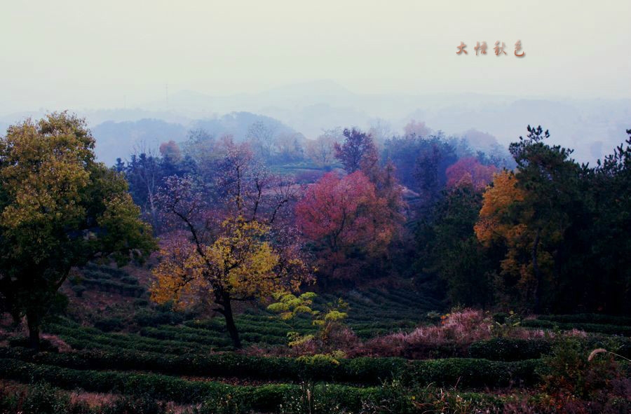 IMG_3703_meitu_2.jpg