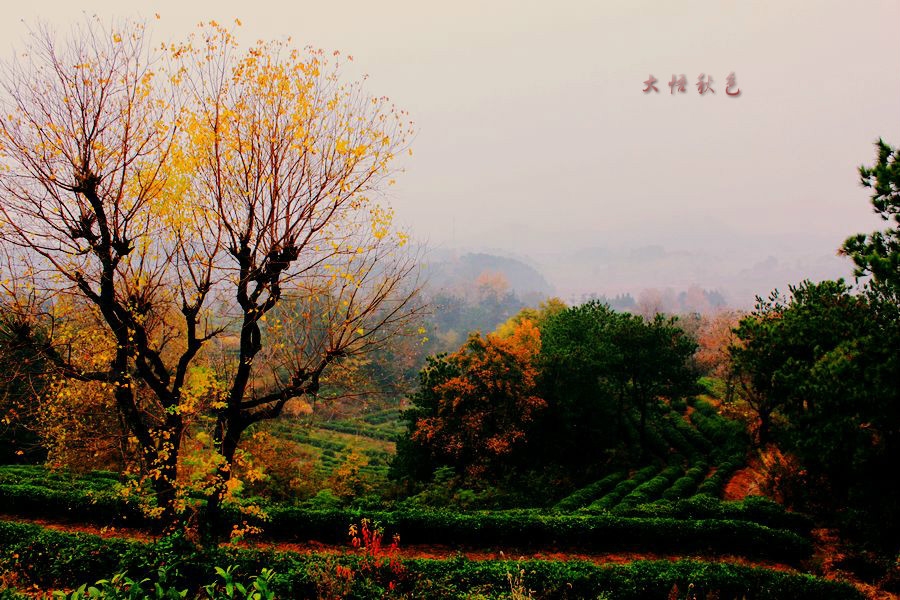 IMG_3785_meitu_6.jpg