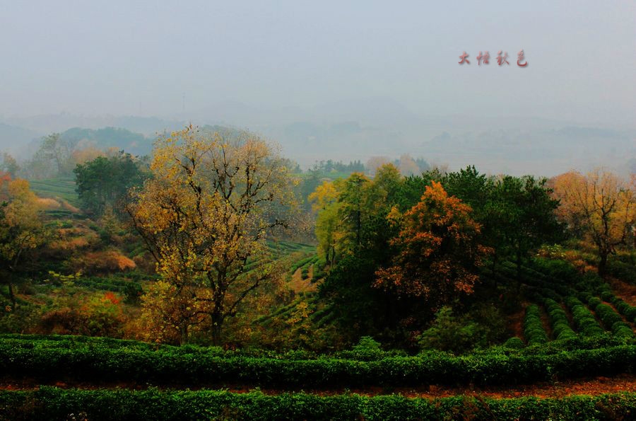 IMG_3788_meitu_7.jpg