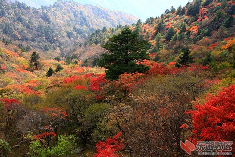 秋景2.jpg