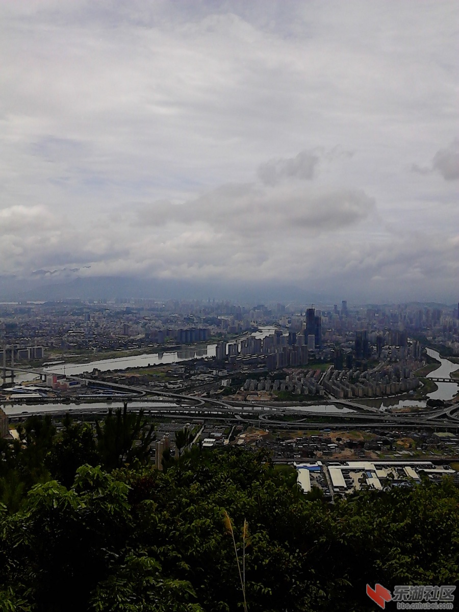 IMG_20130719_125034.jpg