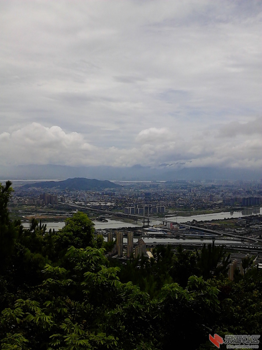 IMG_20130719_125037.jpg