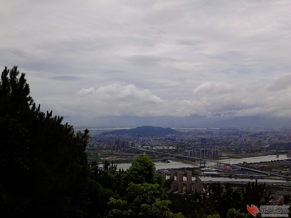 IMG_20130719_125114.jpg