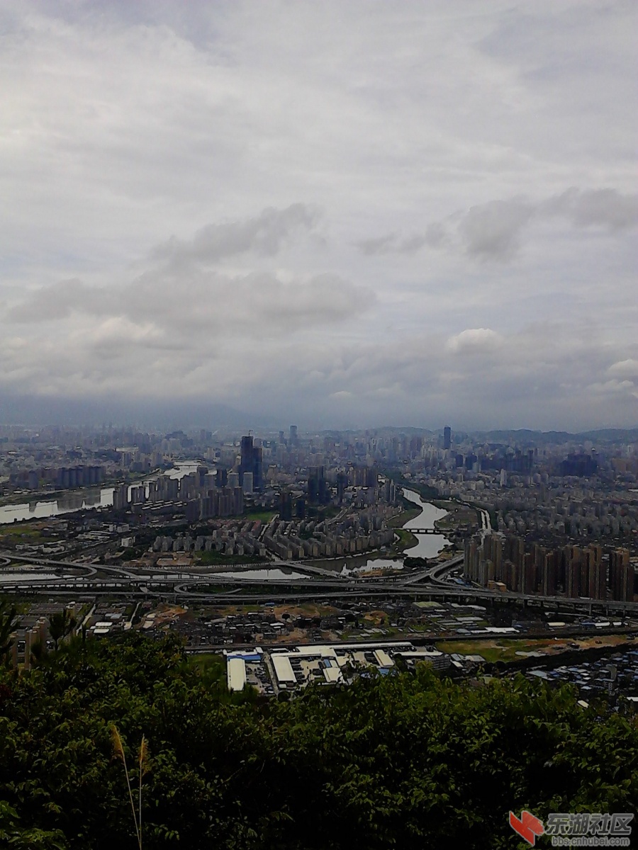 IMG_20130719_125122.jpg