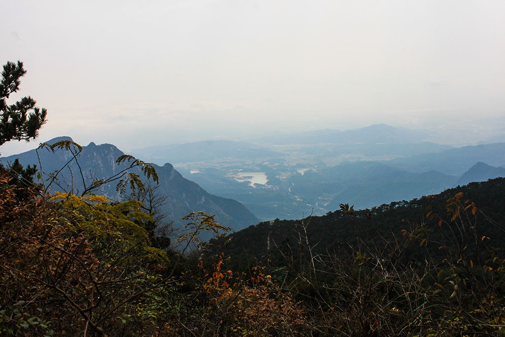 IMG_6696.jpg