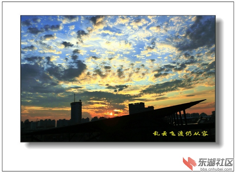 CIMG3393_副本_副本_1.JPG