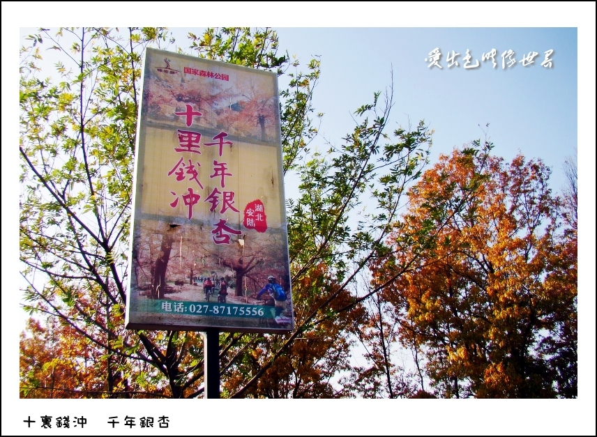 DSC08421_副本_conew1.jpg