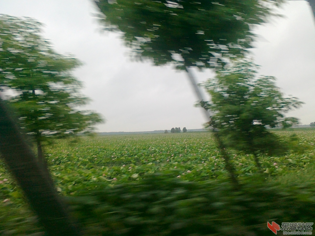 20110806046.jpg