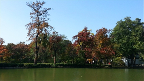 IMG_20131117_100200_副本.jpg