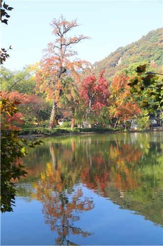 IMG_1743_副本.jpg