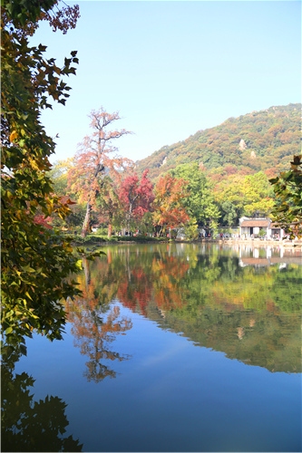 IMG_1744_副本.jpg