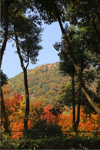 IMG_1972_副本.jpg