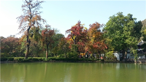 IMG_20131117_100146_副本.jpg