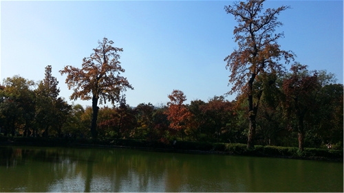 IMG_20131117_100208_副本.jpg