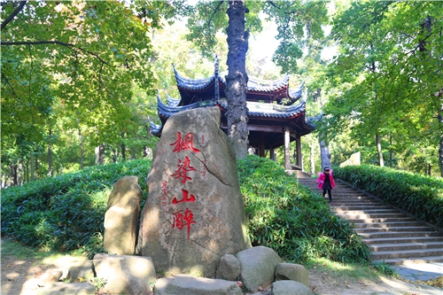 IMG_1667_副本.jpg
