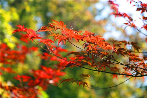 IMG_1646_副本.jpg