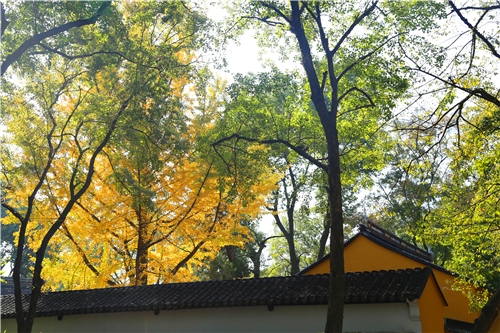 IMG_1924_副本.jpg