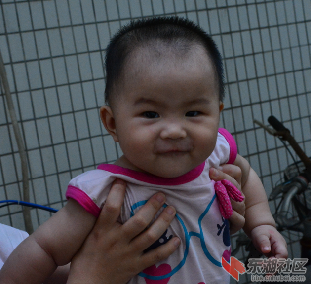QQ截图20131121093022.png