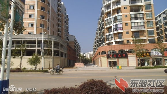 l25.jpg