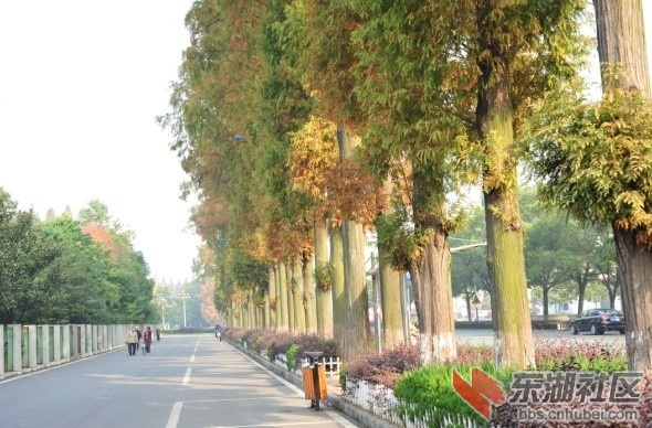 QQ图片20131122125532.jpg