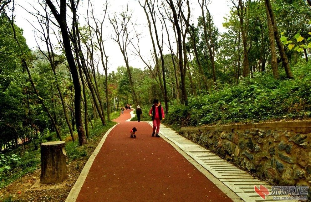 湖北襄阳岘山绿道图片