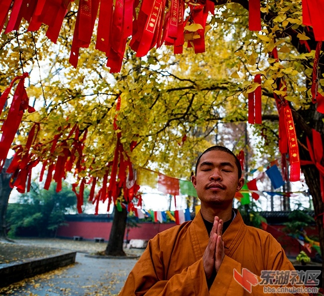 “_DSC0061”为智能对象-1.jpg