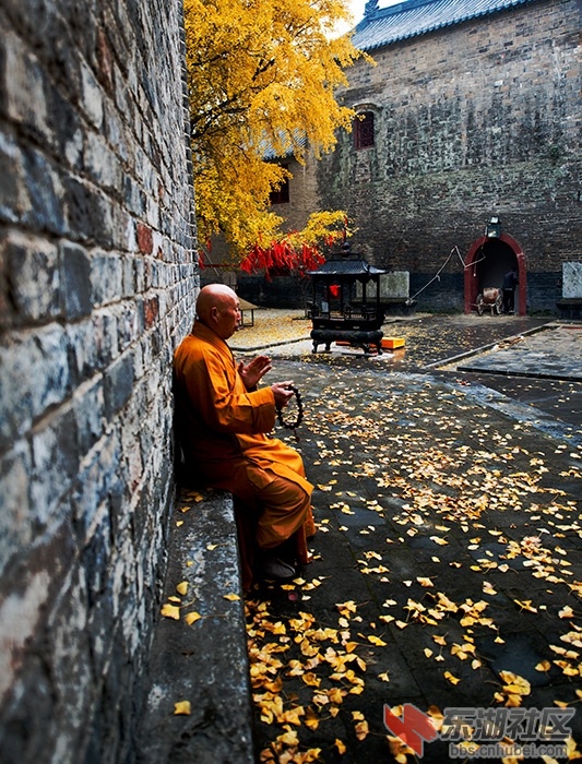 “_DSC0132”为智能对象-1.jpg