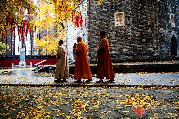 “_DSC0238”为智能对象-2.jpg