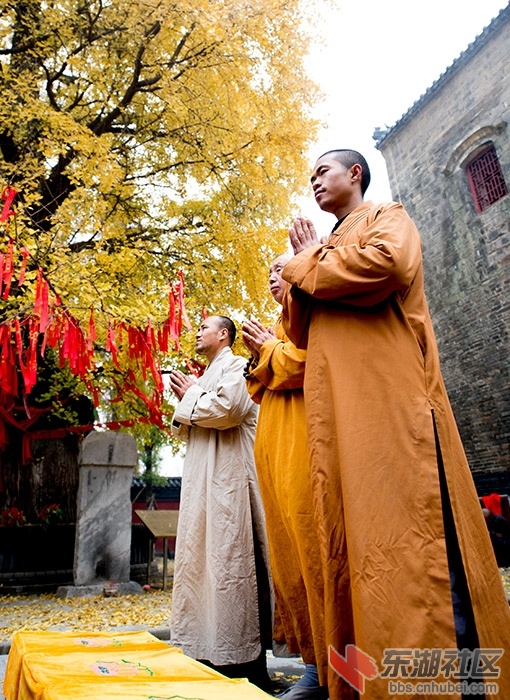“_DSC0262”为智能对象-1.jpg