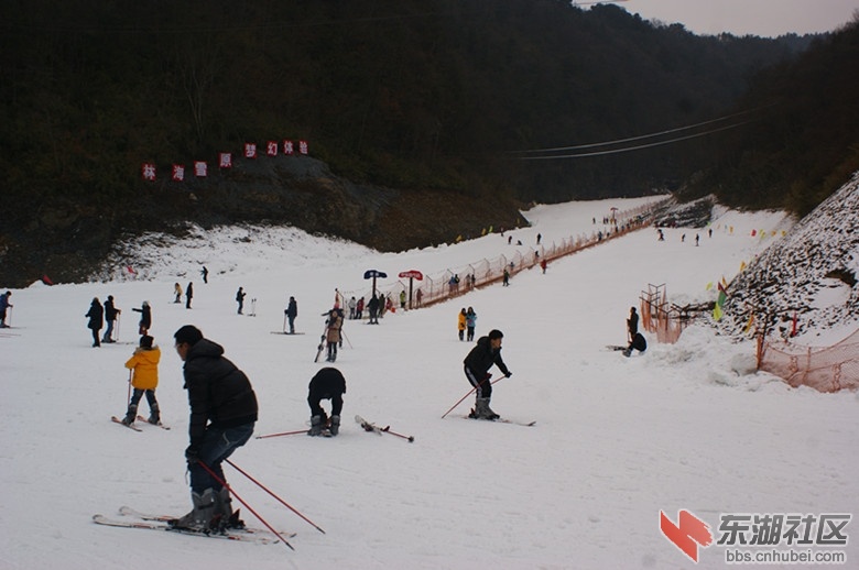 DSC02785_副本.jpg
