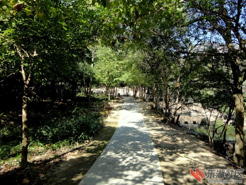 DSC00994.jpg