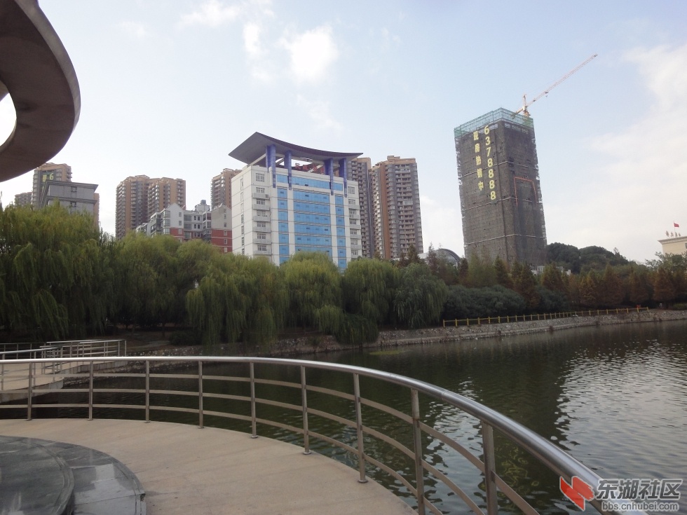 DSC02084.jpg