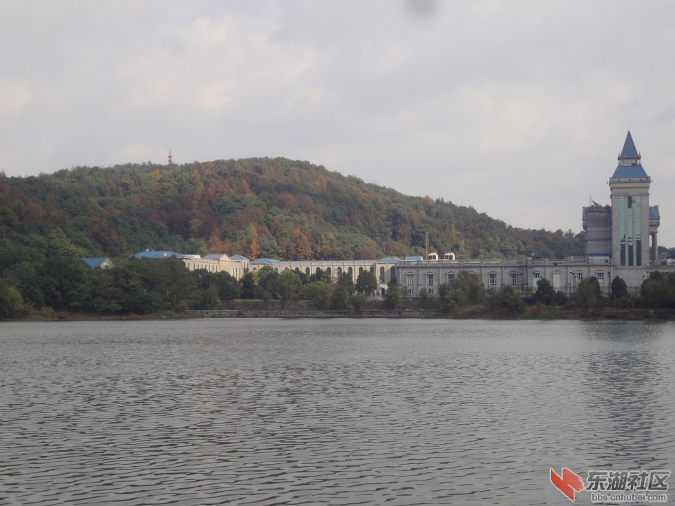 DSC02075.jpg