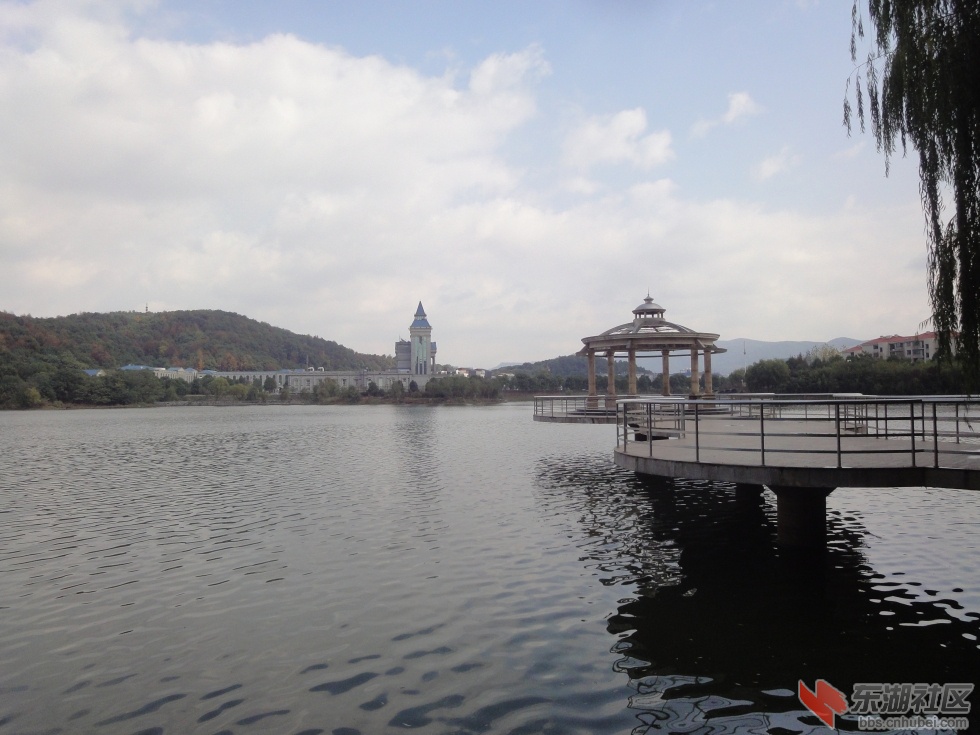 DSC02076.jpg